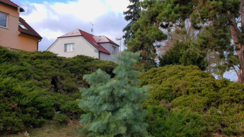 2 minuty o klimatu - Zelená modernizace