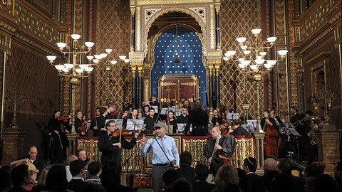 Světlo porozumění - Světlo porozumění 2013