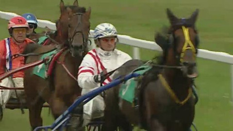 Jezdectví - ME klusáckých amatérských jezdců 2012