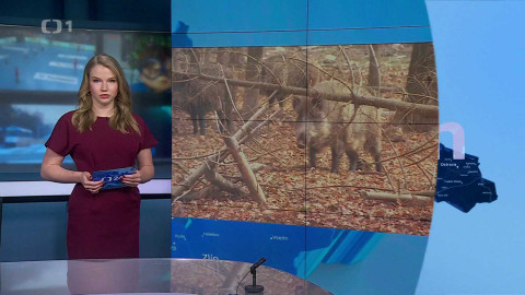 Události v regionech (Ostrava) - 4. března