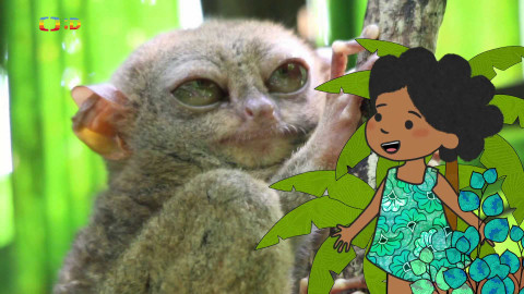 Velká kniha o zvířátkách - Epizoda 50/52