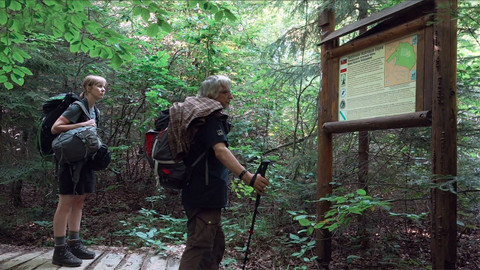 Nedej se! - Po vlčích stopách
