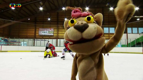 Lvíčata - Dívčí hokej