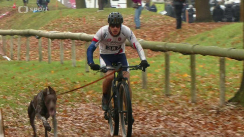 MS v individuálním mushingu 2025 Česko - MS Česko