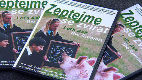 Chcete mě? - 11. září 2011