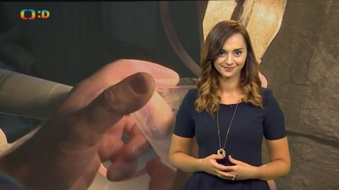 Zprávičky - 16. srpna 2014