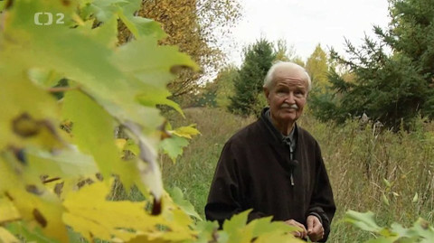 Babylon - Babylon - střihák