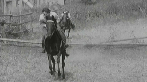 Archiv D - Muž a kůň