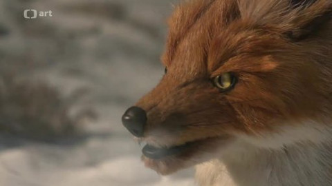 Průvan - Fikce a zkušenost