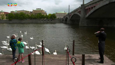 Dobrodružství s orchestrem - Hudební příběhy a dobrodružství