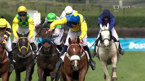 Dostihy - Úvodní cross country Koroka