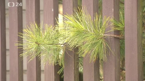 Nový občanský zákoník - Epizoda 15.