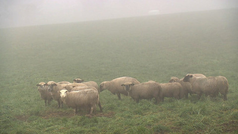 Nedej se! - Druhá strana problému
