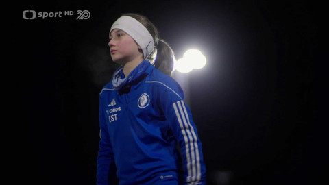 Liga mistryň UEFA - Liga mistryň UEFA - souhrn