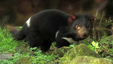 Wifina - 15. května 2020