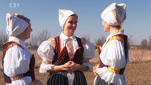 Toulavá kamera - 11. května