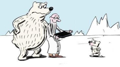 Doktor Animo - 8/13 Jak nechtěl lední medvídek chytat ryby