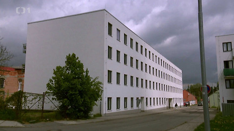 Černé ovce - 1. června