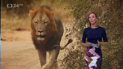 Horizont ČT24 - 9. srpna 2023