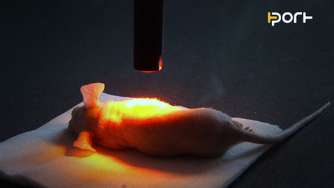 PORT - 18. dubna 2009