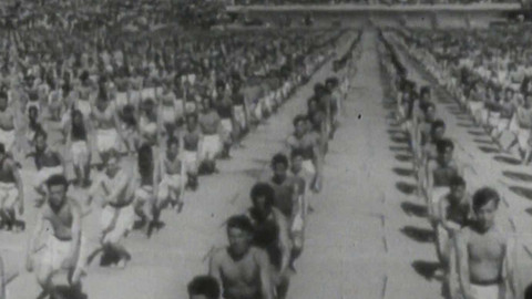 Archiv D - Sokolská historie