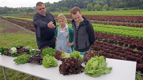 Farmářská jízda - 8/16 Saláty z farmy Ráječek