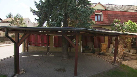 Černé ovce - 31. ledna 2024