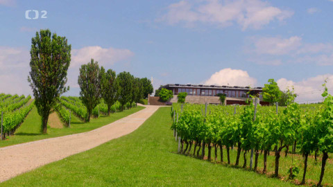 Příběhy staveb - Dům uprostřed vinic