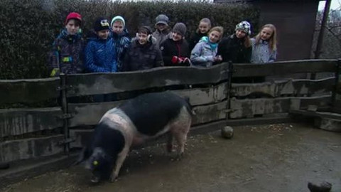 Přidej se - Ekologická výchova v době krize