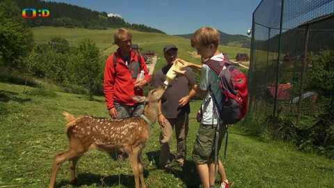 S Jakubem v přírodě - Cesta do ráje