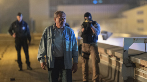 OKTOPUS - 9/13 Kobyla