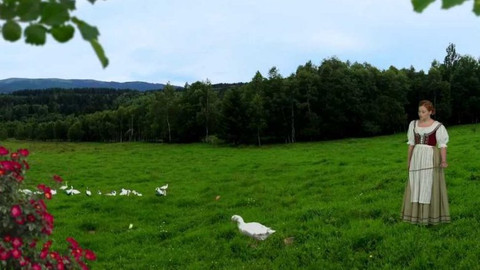 Pohádky Boženy Němcové - Chytrá horákyně