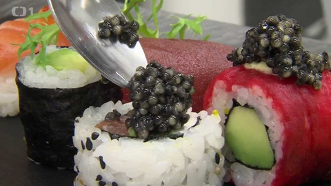 Gejzír - 13. října 2016