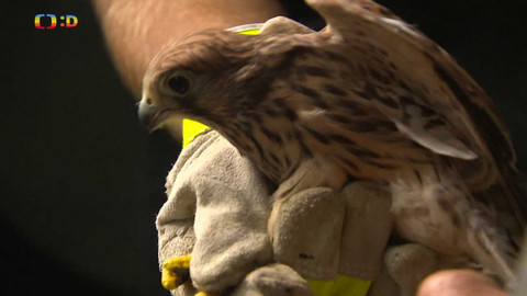 Zprávičky - 14. srpna 2024