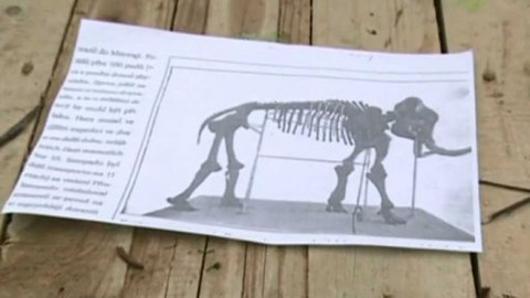 Toulavá kamera - 2. srpna 2015