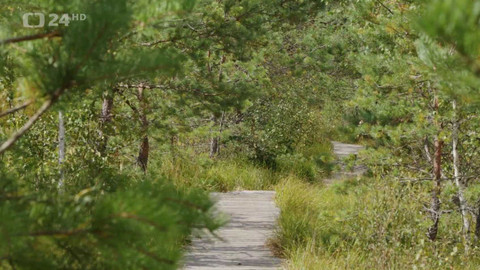 Regiony ČT24 - 13. září