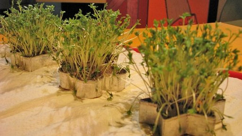 Šikulové - 11. září 2008