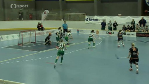 Florbal - Cesta do Superfinále III.