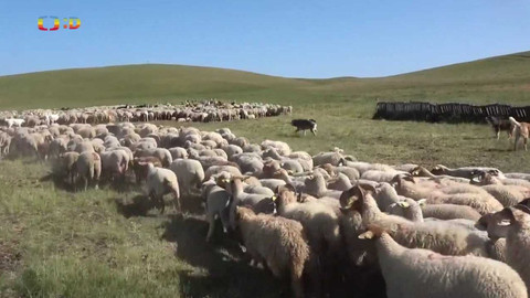 Zprávičky - 2. července 2022