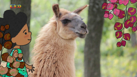 Velká kniha o zvířátkách - Epizoda 45/52