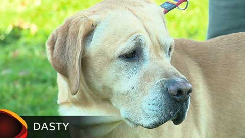 Chcete mě? - Chcete je?