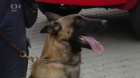 Dobré ráno - 8. srpna 2018