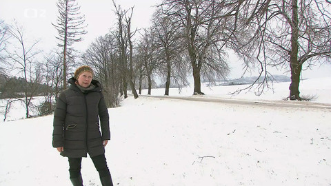 Nedej se! - Alej roku v ohrožení