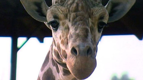 Hranice dokořán - Rozmówki polsko-czeskie - 30. října 2011