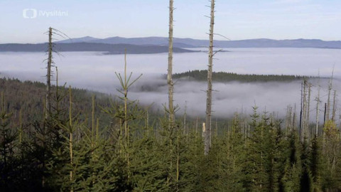 Minuty z přírody - Horská smrčina