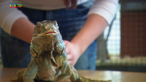 Terčin zvířecí svět - 20. dubna 2018