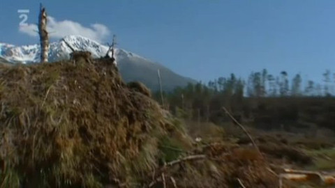 Přidej se - Slovensko II.