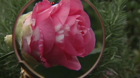 Zahrada pod lupou - 7. ledna 2012