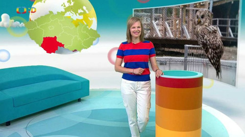 Zprávičky - 7. července 2021