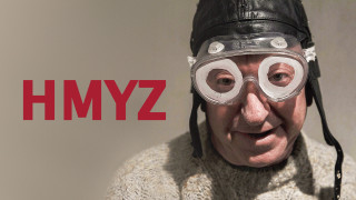 Hmyz